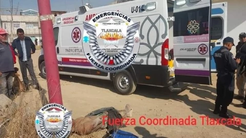 Así dejaron a un presunto ladrón en San Pablo del Monte