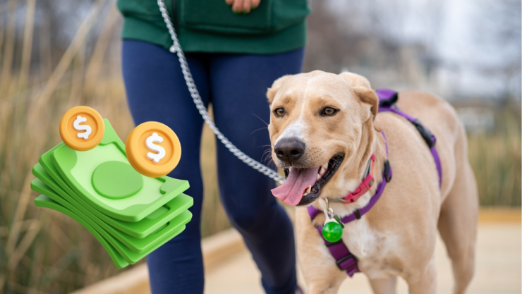 Podrían multar por pasear a los perros