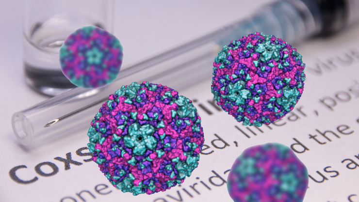 Virus Coxsackie.