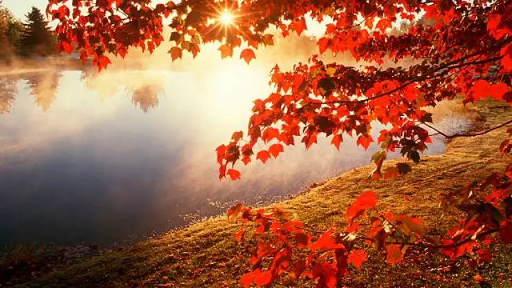 Otoño