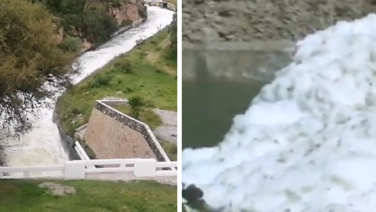 espuma-toxica-presa (1).jpg