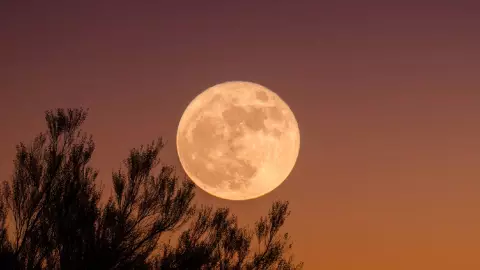 Luna Llena de Noviembre_ La última superluna del año.jpg