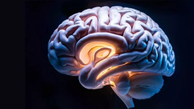 Señales tempranas de Alzheimer: Cómo identificar los primeros síntomas de la enfermedad