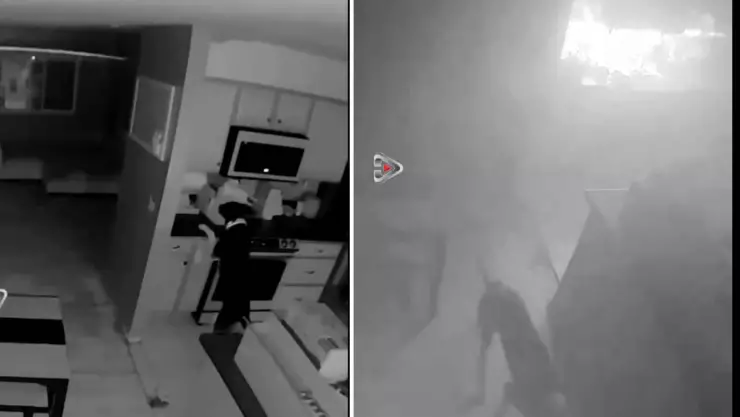 VIDEO_ ¡Por travieso! Perro provoca incendio en su propia casa de EU.jpg