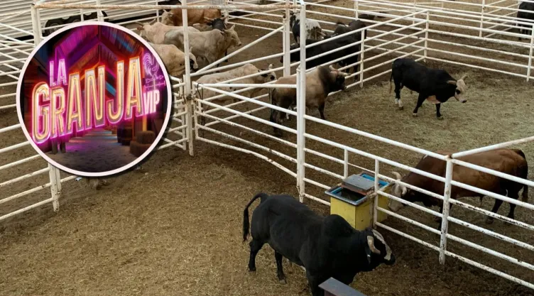 COMO CUIDAR UN CORRAL DE GANADO.jpg
