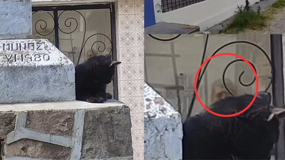 VIDEO Captan supuesto fantasma en un panteón en Tlaxcala, México y se viraliza en redes sociales