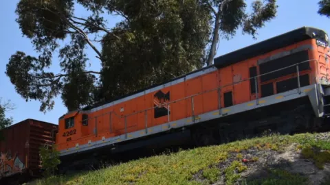 Tren de carga en la 20 de noviembre tira postes de luz