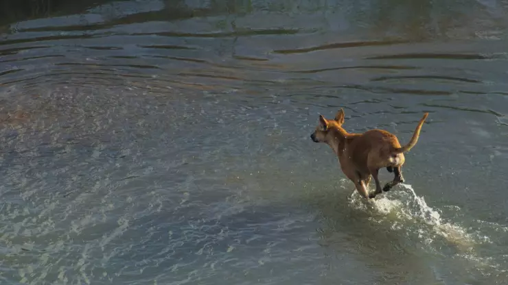PORTADA lago congelado.jpg