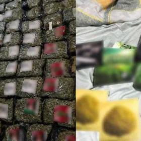 Catean predio con más de 50 kilos de marihuana en Venustiano Carranza: Modus operandi en CDMX