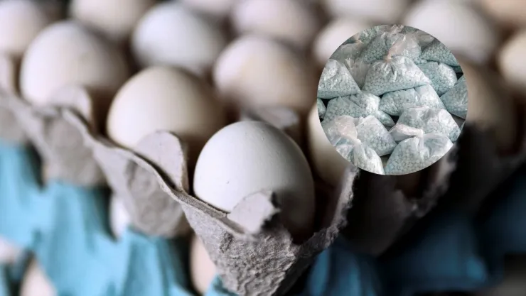 ¿Cuántos huevos ha decomisado Estados Unidos?