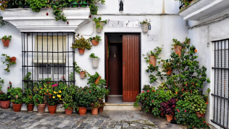 Qué hacer con la esquina de tu patio: 5 ideas para renovar este espacio