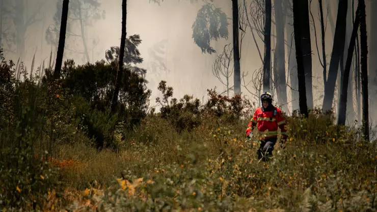 ¿Dónde hay más contaminación? Así está la calidad del aire en Guadalajara este 29 de septiembre de 2025