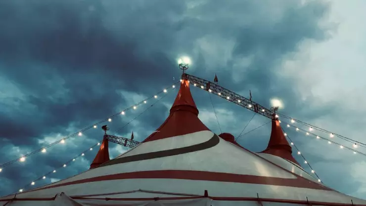 Oso ataca a su entrenador en pleno show y sobrevive de suerte _ VIDEO.jpg