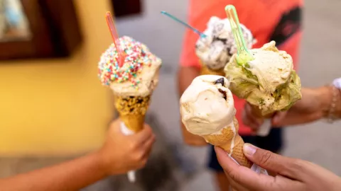 Feria de la Nieve Xochimilco