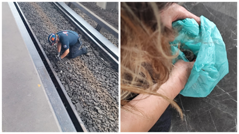 Un ave fue rescatada al caer a las vías al Metro Bosques de Aragón.