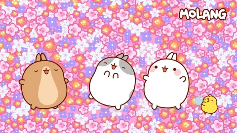 Molang