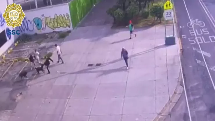 Perrito salva a su dueño de un robo