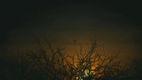 Solsticio de invierno 2024: ¿Cuándo es en México y cómo verlo?