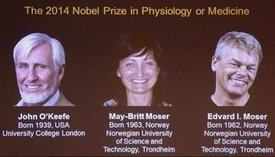 En 1971, O’Keefe descubrió los primeros componentes de ese sistema de posicionamiento interno