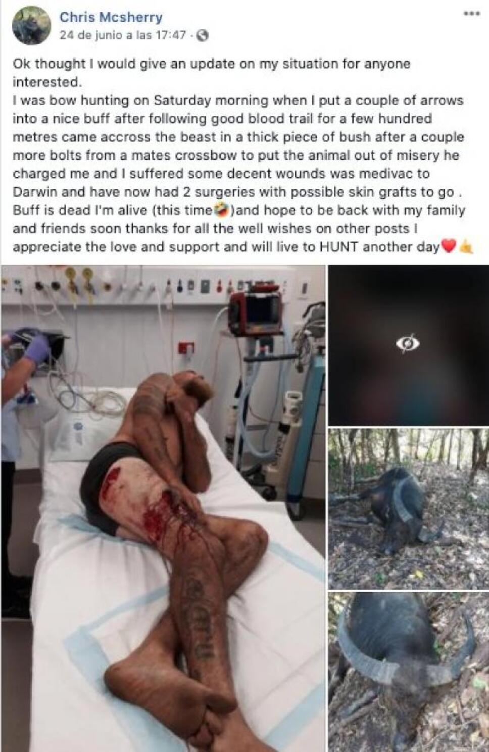 herido-por-bufalo.jpeg