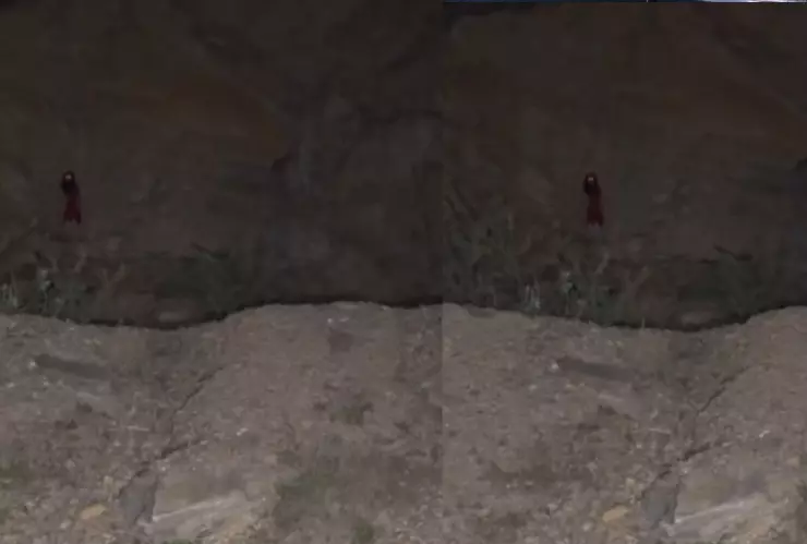 Es una bruja Captan a un extraño ser paseando por los cerros de Tlajomulco de Zúñiga