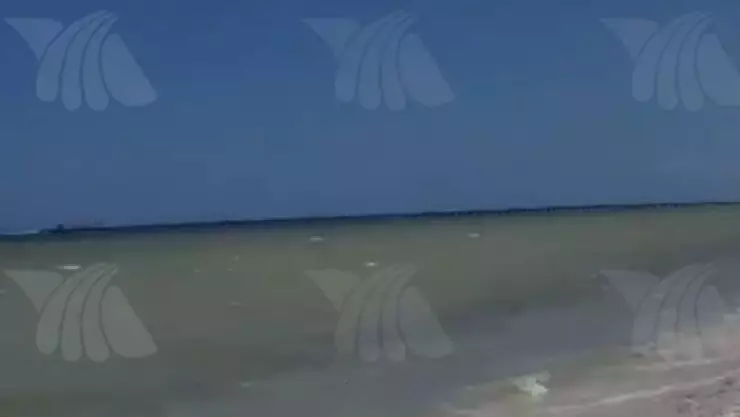 Los manchones de agua café o roja pueden ser dañinos para la salud y un experto explica por qué