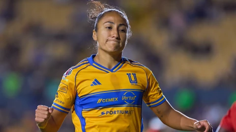 _LMXF_A25_CFV_UANL_FCJ_