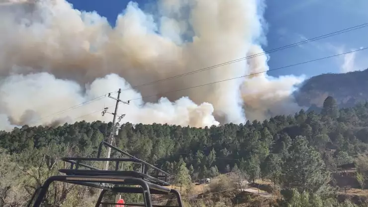 Al menos 6 Áreas Naturales Protegidas de México reportan incendios forestales