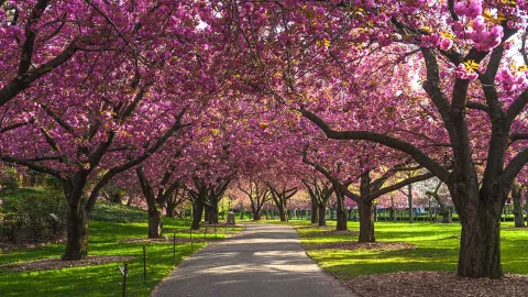 Frases para decirle a tu pareja en el Día de la Primavera