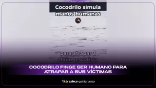 ¡Increíble! Cocodrilo en Indonesia finge ser humano para atrapar a sus víctimas