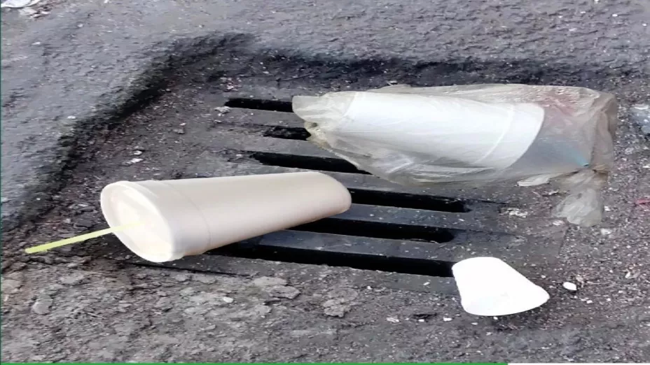 Vasos unicel_Sedema.jpeg