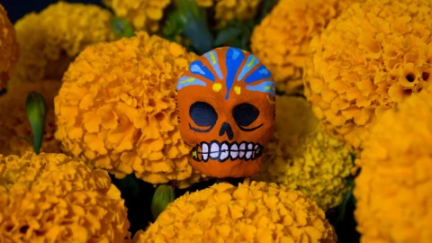 Día de Muertos: Descubre cómo preparar el delicioso atole de cempasúchil