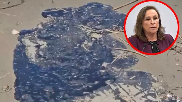 Rocío Nahle y Chapopote