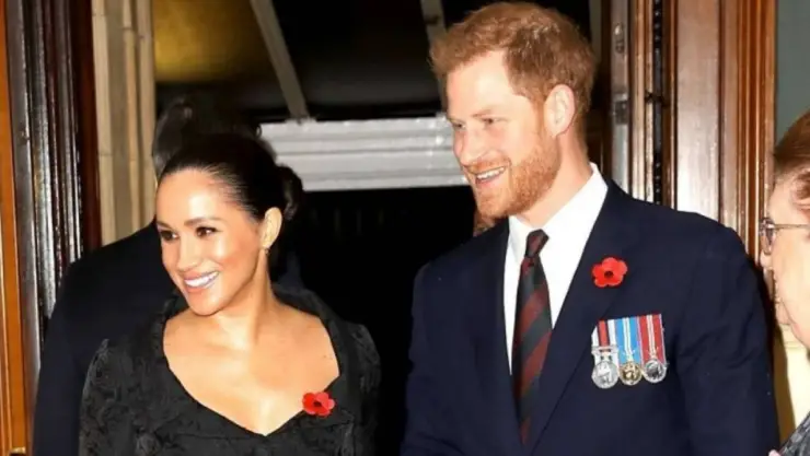 principe harry ya vio la serie the crown