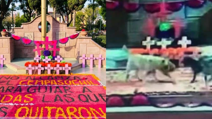 Ofrenda_Zumpango