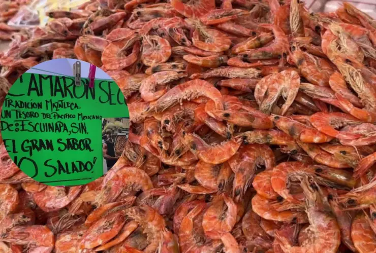 Camarón seco de Escuinapa, Sinaloa..jpg