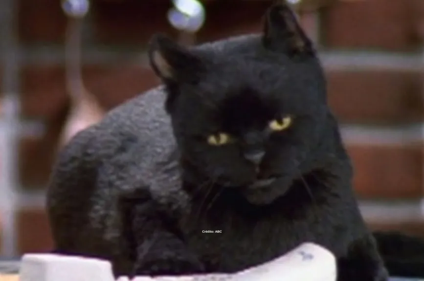 salem-saberhagen-sabrina-la-bruja-adolescente