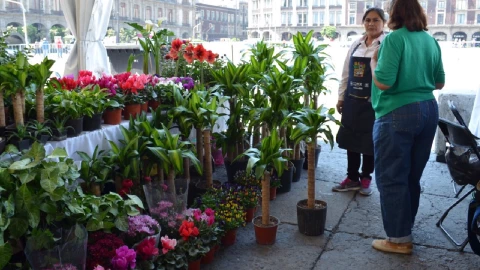 Duelo de Jedis, uno de los eventos en CDMX del 5 al 7 de mayo