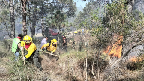 Brigadistas sofocan incendio en Las Vigas, Veracruz