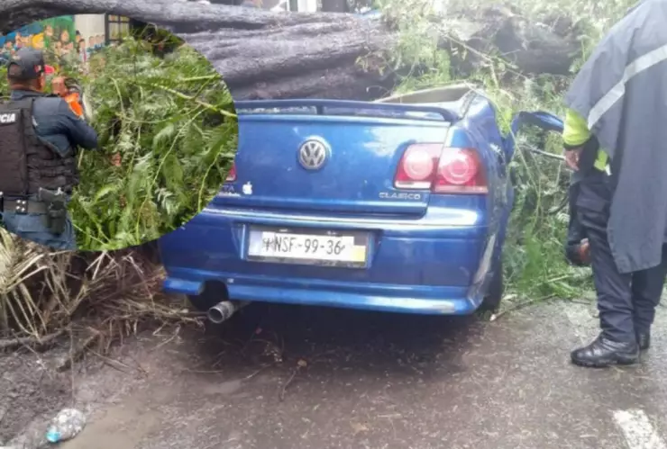 Captura de pantalla 2024-07-19 200233.png