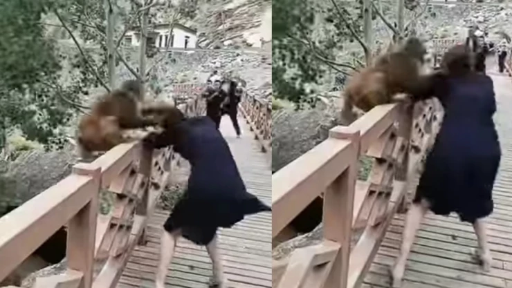 Mono jalón de cabello