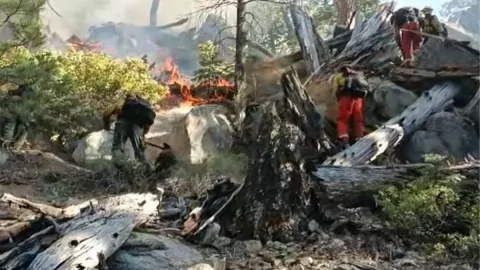 Incendio forestal en Sierra de San Pedro Mártir en Baja California consume 360 hectáreas.