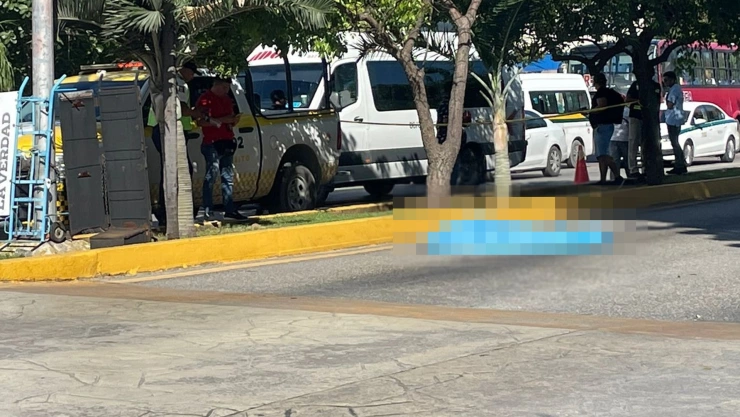 atropellada en la avenida tulum