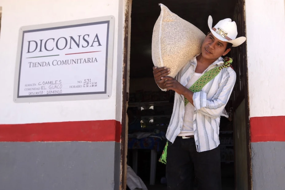 Baja precio del maíz