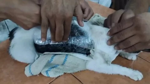 Narcomichi pasaba droga en una c&aacute;rcel