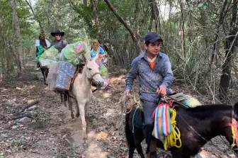 WhatsApp Image 2025-01-08 at 8.35.27 PM (8).jpeg