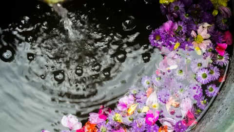 Los baños con flores ayudarán a atraer la abundancia