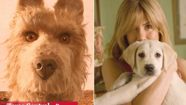 Películas y series protagonizadas por perros Películas y series protagonizadas por perros