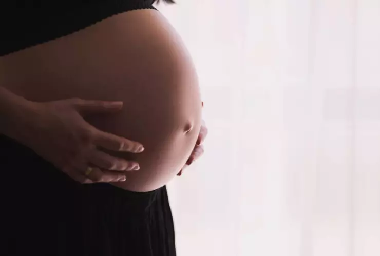 Embarazo gestado por dos mujeres