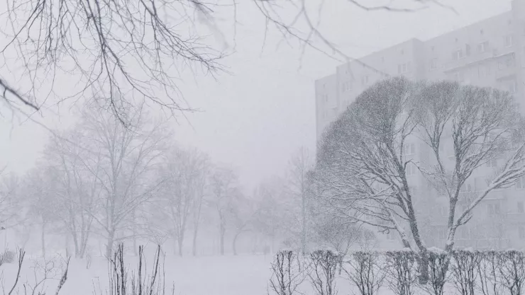 Tormenta invernal.jpg